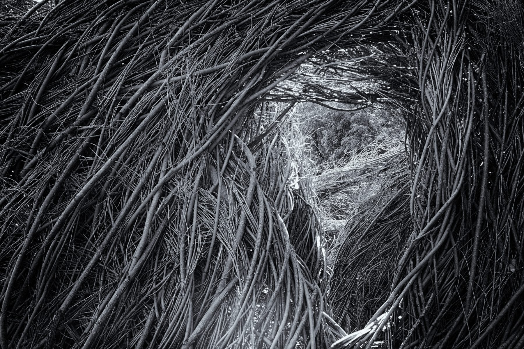 2019-09-09-12-32-18-CSmoothing4-Edit